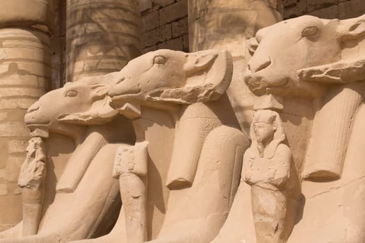 Statues of Rams  at Karnak Temple ( Luxor, Egypt).