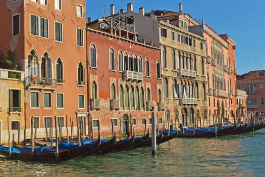 Grand Canal in evening light (Venice, Venice, Italy)