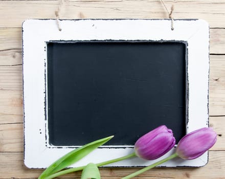 Blank Message board with lilac flower and copy space.