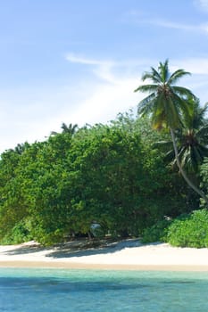Coast of Indian ocean. Maldives