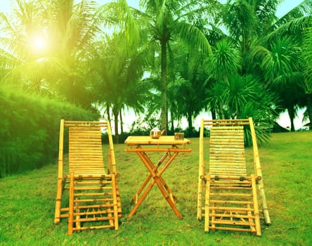 Two chair in the tropical garden at sunny day