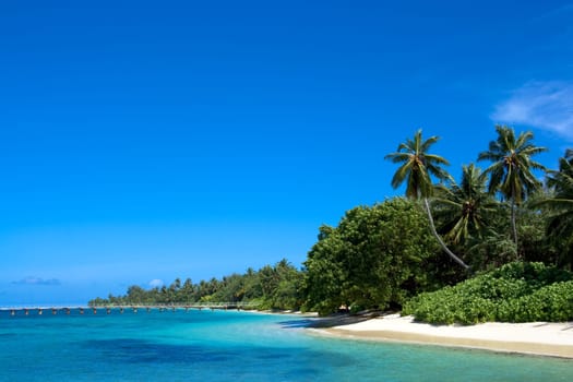 Coast of Indian ocean. Maldives