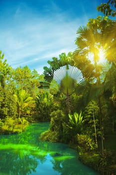 Lake in deep forest on sunset time