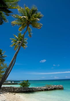 Coast of Indian ocean. Maldives