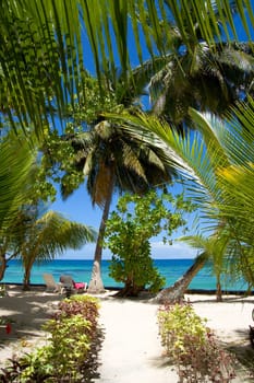 Way to the beach. Coast of Indian ocean. Maldives