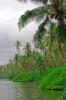 Tropical jungle. Fresh-water lake. Maldives