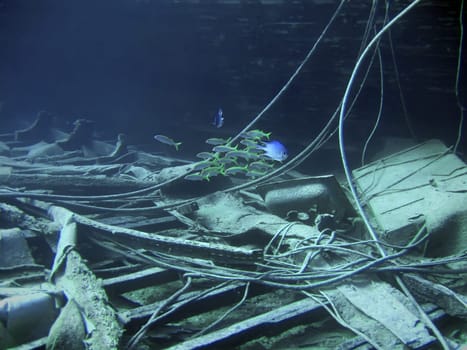 Underwater landscape with boat fragments and fishes. The Red Sea