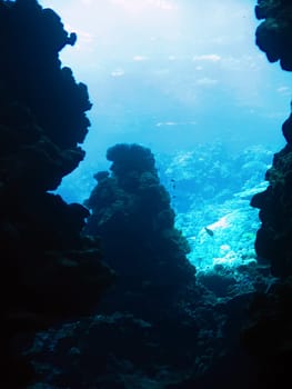 Sunlight from the underwater cave. The Red Sea