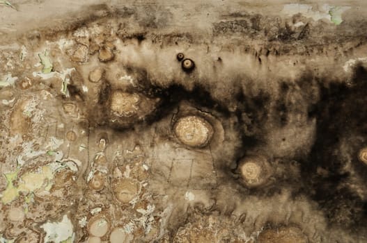 Black mold growth and water stains on peeling grunge wall. Abstract background.