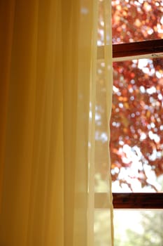 Yellow curtains and stained glass window view to abstract nature scene.