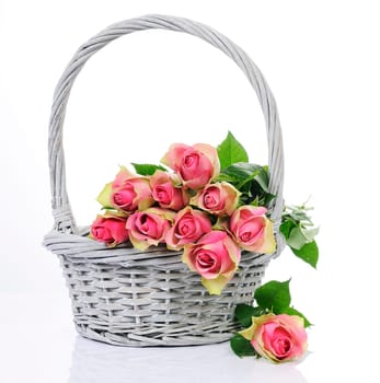 bouquet of pink roses in basket isolated on white background