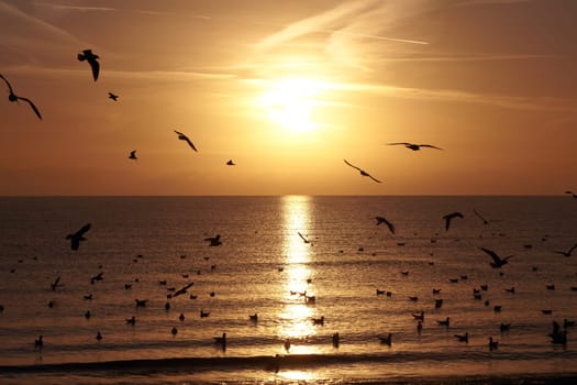 Romantic sunrise in late summer on the German Baltic Sea coast