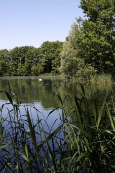 The Lippe Pond in Möllenbeck