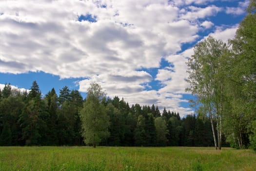 green mesdow, forest and clouds sky