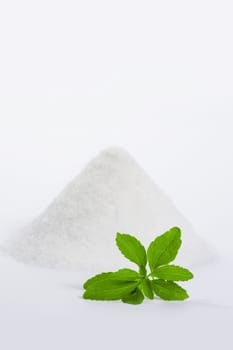 Stevia with Zuckerberg 1