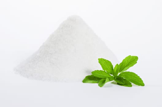 Stevia with Zuckerberg 2