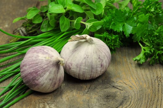 Garlic