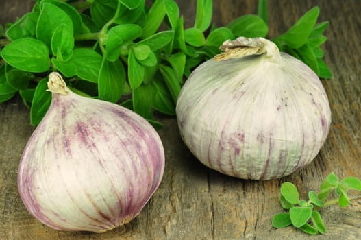 Garlic