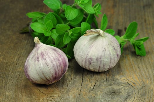 Garlic