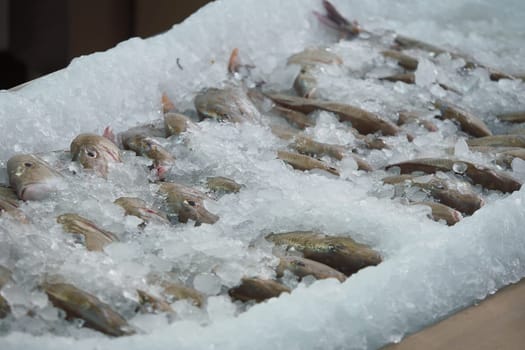 Fish are packed in ice, ready for customers at a vibrant market.