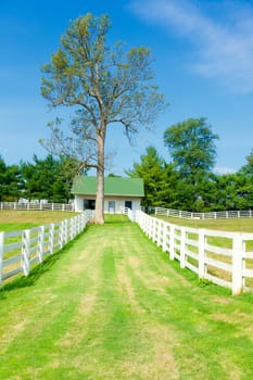 Scenic image of a horse farm with white wooden fences