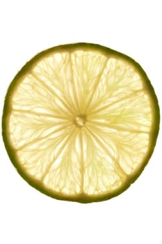 Macro shot of a lime slice in transmitted light