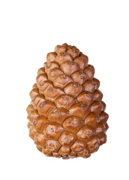 Close-up of a pine cone against a white background