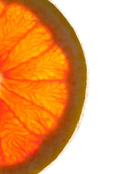 Macro shot of half an orange slice