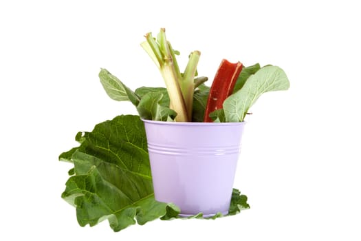 Rhubarb rods in tin buckets