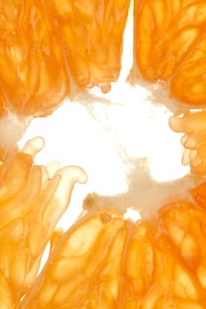 Extreme macro of the core of an orange