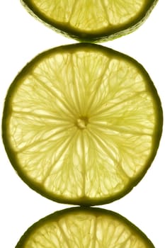 Macro shot of lime slices in transmitted light