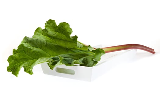 A whole rhubarb stick on a wooden tray