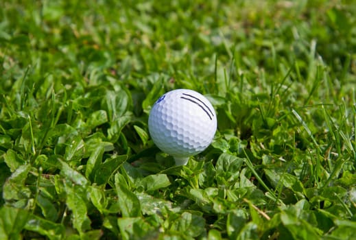 golf ball on green grass