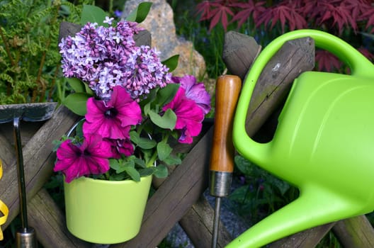 Garden Fence Flowers