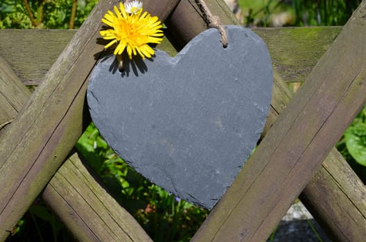 Spring Garden Fence Heart Flowers Garden