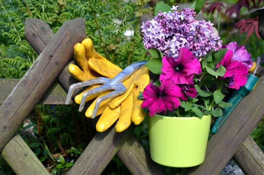 Garden Fence Flowers