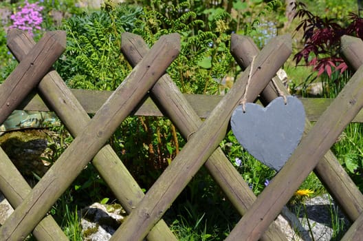 Spring Garden Fence Heart Flowers Garden