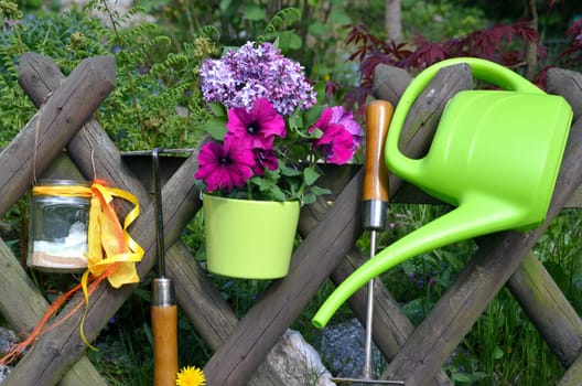 Garden Fence Flowers