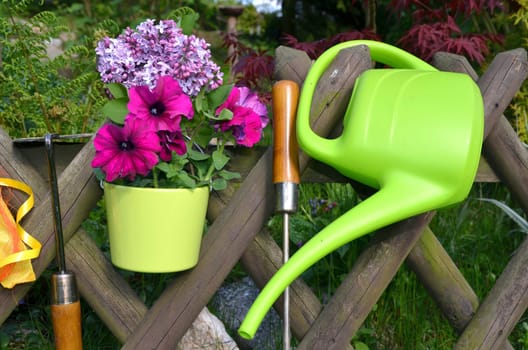 Garden Fence Flowers