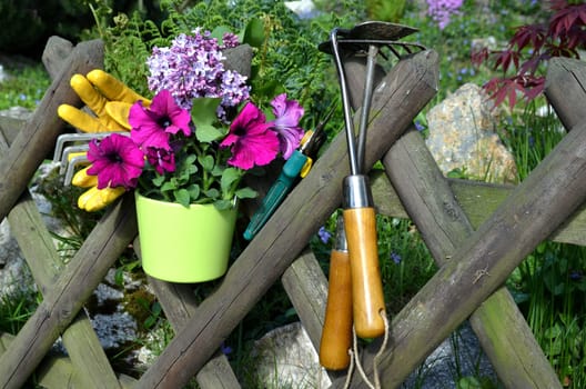 Garden Fence Flowers