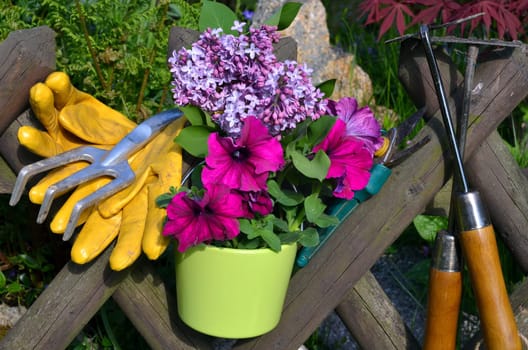Garden Fence Flowers