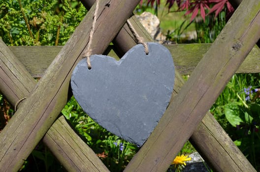 Spring Garden Fence Heart Flowers Garden