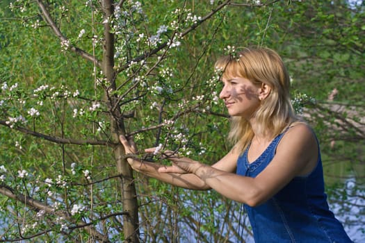 The girl smells blossoms on a cherry tree