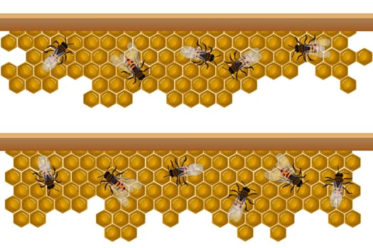 Design elements for a seamless border, pattern with working bees on a honeycomb.