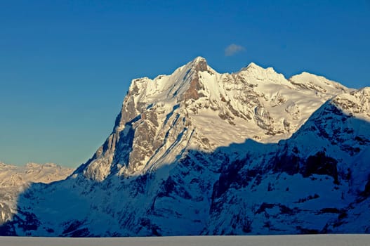 Wetterhorn in the wintry evening light