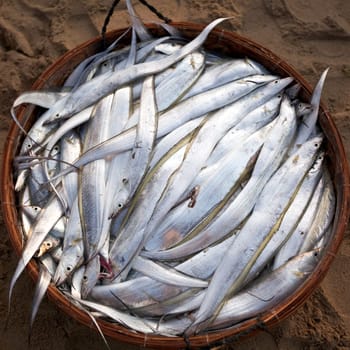 Fish in basket on fish market. Vietnam