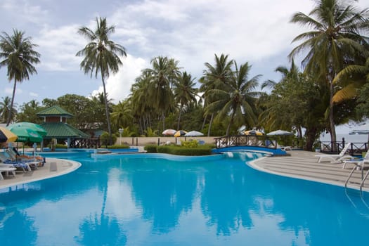 Swimming pool in tropical hotel. Maldives.