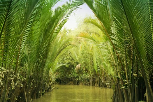 Delta of Mekong river. Vietnam