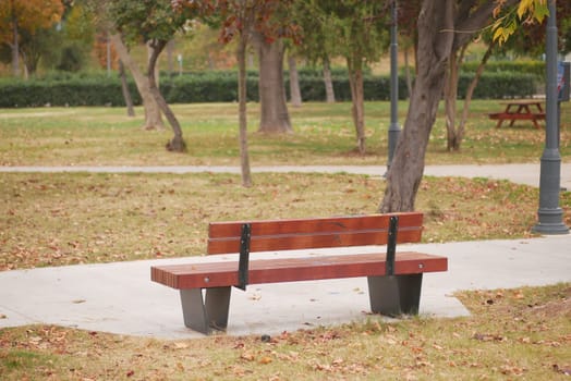 A single wooden bench stands in a quiet park surrounded by trees.