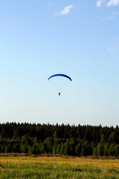Paraglider above the forest with blue wing